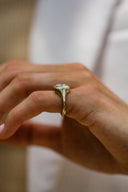 The Signature Signet Ring