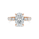 Completed Ring (United States Size 8.00)