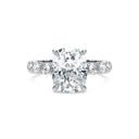Completed Ring (United States Size Not Sure)