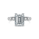 Completed Ring (United States Size 5.50)