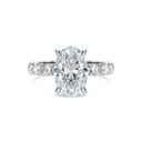 Completed Ring (United States Size 8.50)