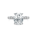 Completed Ring (United States Size Not Sure)