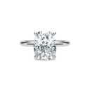 Completed Ring (United States Size 8.00)