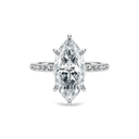 Completed Ring (United States Size Not Sure)