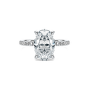 Completed Ring (United States Size 7.00)