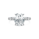 Completed Ring (United States Size 8.00)