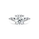 Completed Ring (United States Size 7.00)