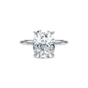 Completed Ring (United States Size Not Sure)