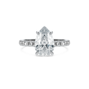Completed Ring (United States Size 9.00)