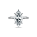 Completed Ring (United States Size 7.50)