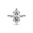Completed Ring (United States Size 7.00)