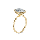 The Luna Ring