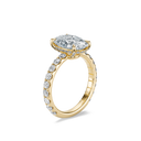 The Bella Ring