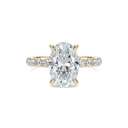 Completed Ring (United States Size 8.25)