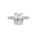 Completed Ring (United States Size 9.00)