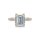 Completed Ring (United States Size 8.00)