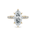 Completed Ring (United States Size 5.50)