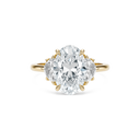 Completed Ring (United States Size 3.00)
