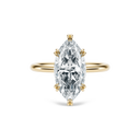 Completed Ring (United States Size 5.50)