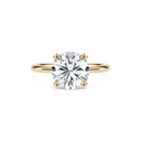 Completed Ring (United States Size 6.25)