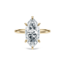 Completed Ring (United States Size 4.00)