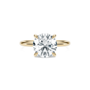 Completed Ring (United States Size 5.50)
