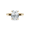 Completed Ring (United States Size 7.00)