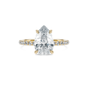 Completed Ring (United States Size 9.00)