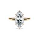 Completed Ring (United States Size 7.00)