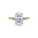 Completed Ring (United States Size 6.25)