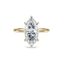 Completed Ring (United States Size 9.00)