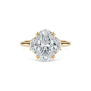 Completed Ring (United States Size 5.00)