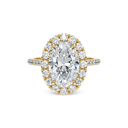 Completed Ring (United States Size 8.00)
