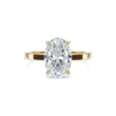 Completed Ring (United States Size 9.00)