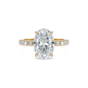 Completed Ring (United States Size 6.00)