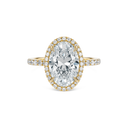 The Sophia Ring