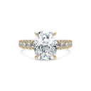 Completed Ring (United States Size 6.00)