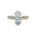 Completed Ring (United States Size 8.00)