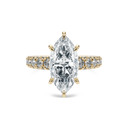 Completed Ring (United States Size 4.00)