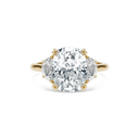 Completed Ring (United States Size 7.00)