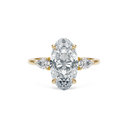 Completed Ring (United States Size Not Sure)