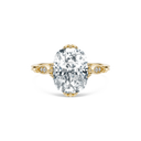 Completed Ring (United States Size Not Sure)