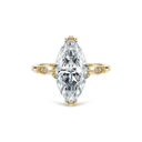 Completed Ring (United States Size Not Sure)