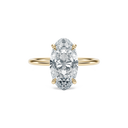 Completed Ring (United States Size 7.00)