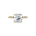 Completed Ring (United States Size 6.00)