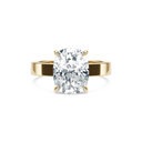 Completed Ring (United States Size 6.75)