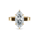 Completed Ring (United States Size 5.50)