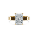 Completed Ring (United States Size 5.75)