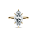 Completed Ring (United States Size 5.50)