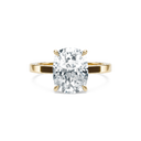 Completed Ring (United States Size 5.00)